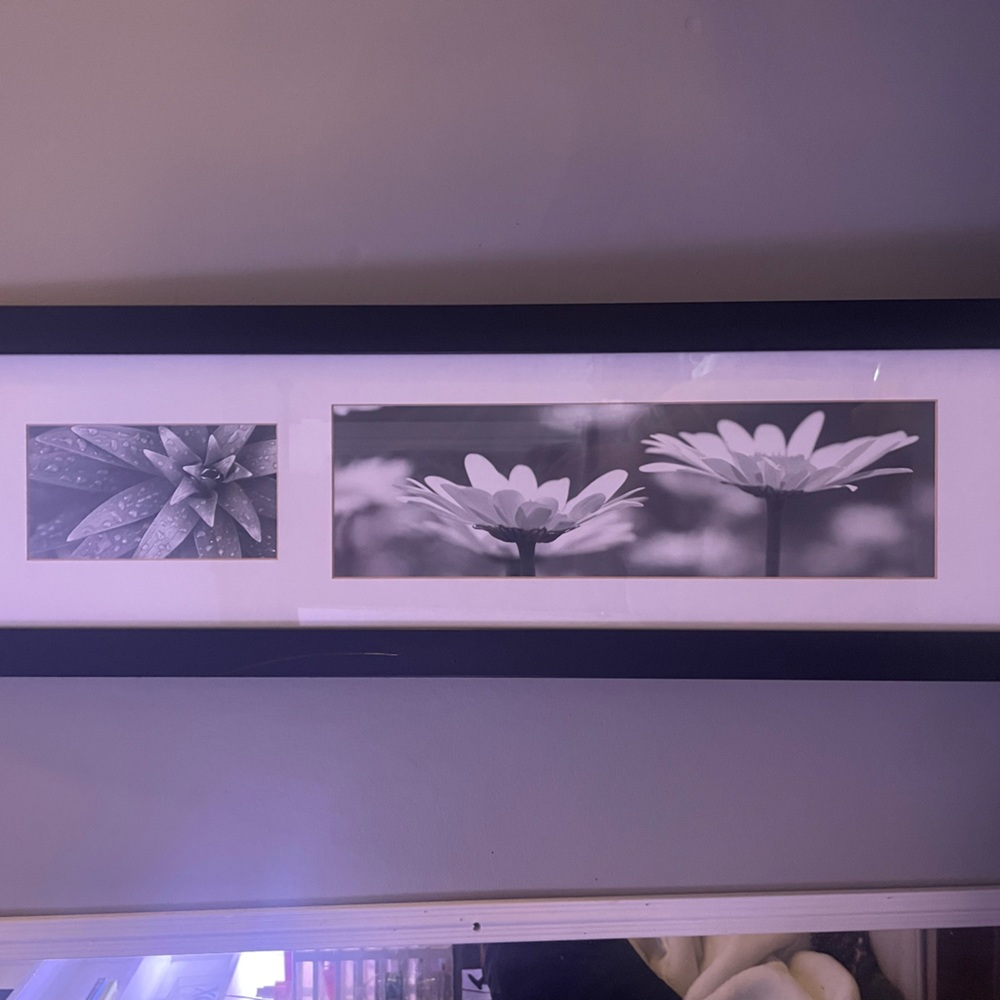 3 Black And White Flower Pictures In Frames